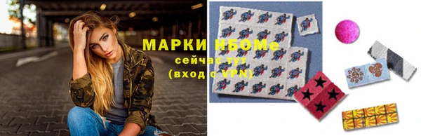 ECSTASY Белокуриха