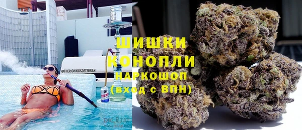 ECSTASY Белокуриха