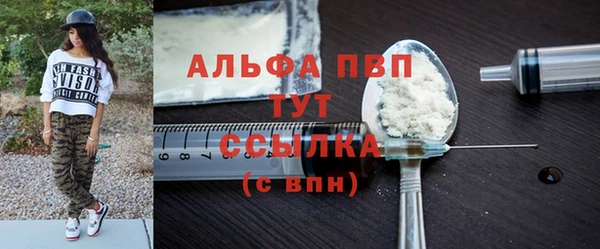 ECSTASY Белокуриха