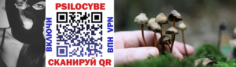 сколько стоит  даркнет официальный сайт  Псилоцибиновые грибы Psilocybine cubensis  Светлый 